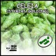 bala 5kg flor Celeia (STYRIAN GOLDING) -SL-