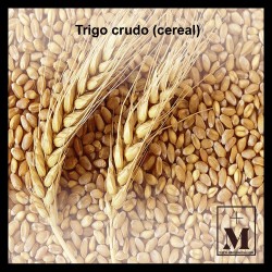 Trigo crudo (cereal)